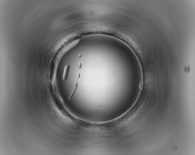 X0000092260629200709141210