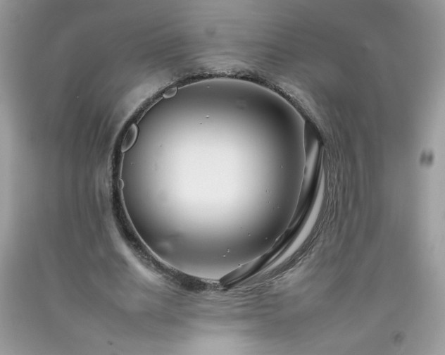 X0000092260630200709141210