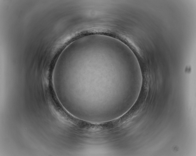 X0000092260631200709141210