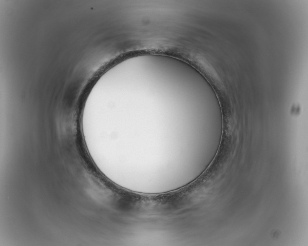 X0000092260632200709141210