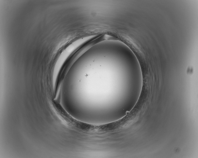 X0000092260634200709141210