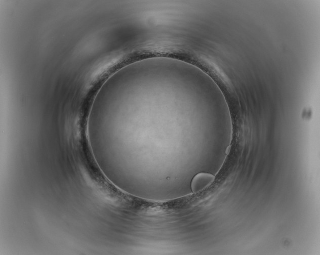 X0000092260635200709141210