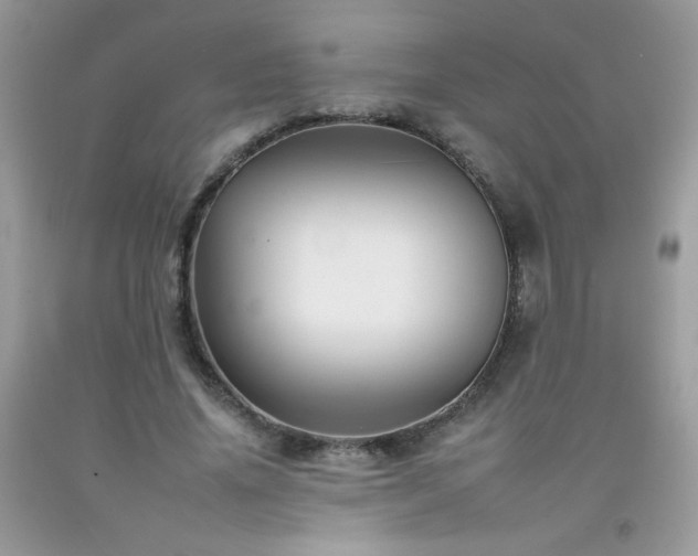 X0000092260636200709141210