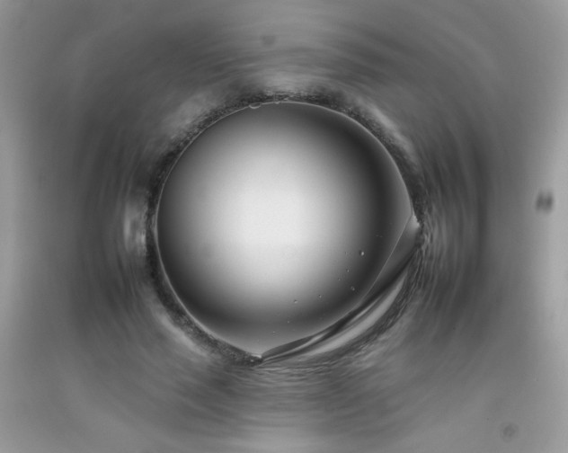 X0000092260637200709141210