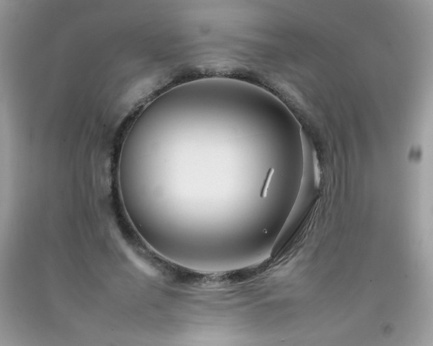 X0000092260638200709141210