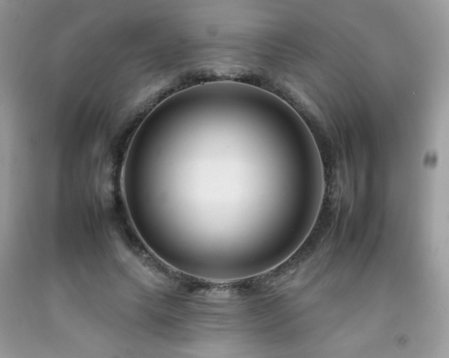 X0000092260639200709141210