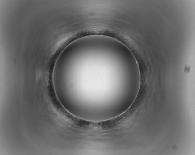 X0000092260640200709141210
