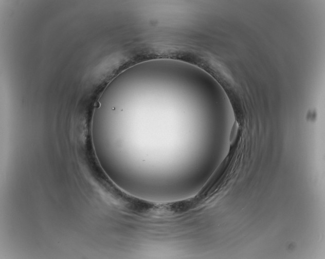 X0000092260644200709141210