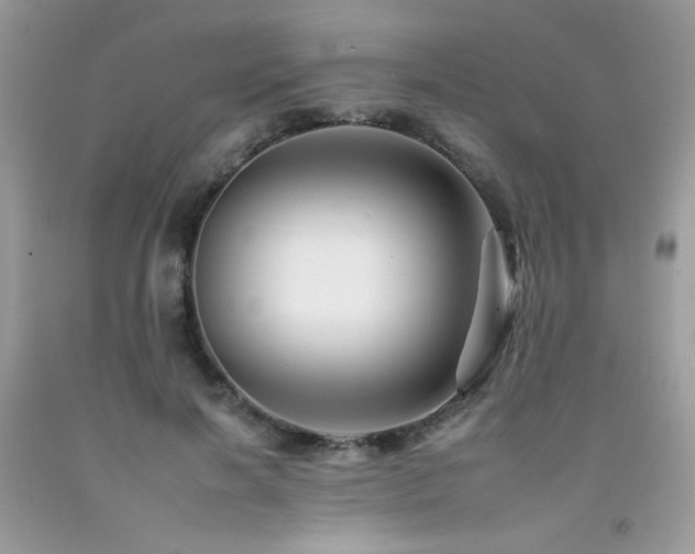 X0000092260646200709141210