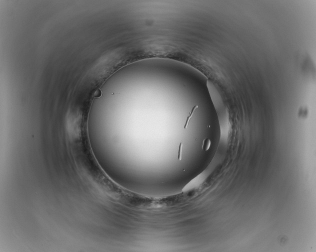 X0000092260647200709141210