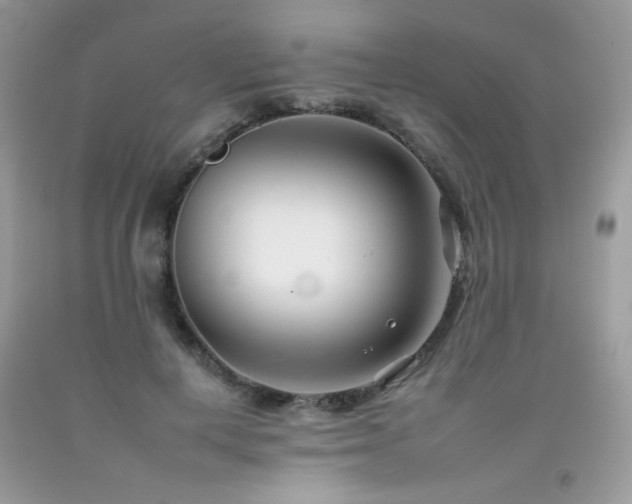 X0000092260648200709141210
