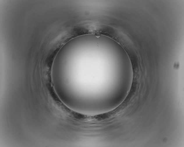 X0000092260650200709141210