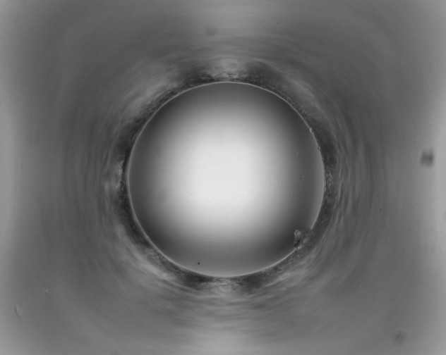 X0000092260652200709141210