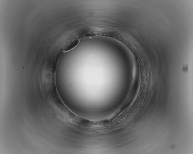 X0000092260653200709141210