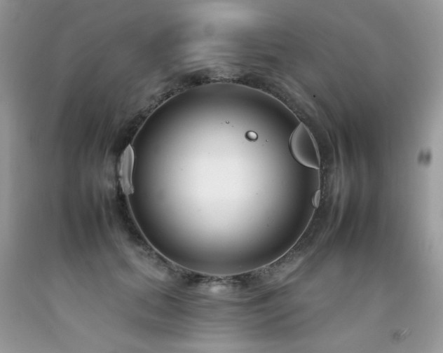 X0000092260655200709141210