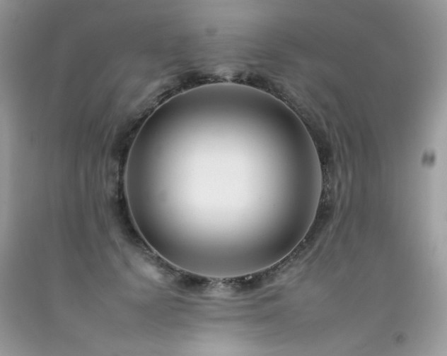 X0000092260656200709141210