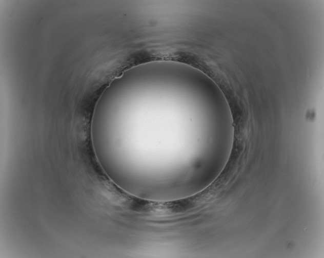 X0000092260658200709141210