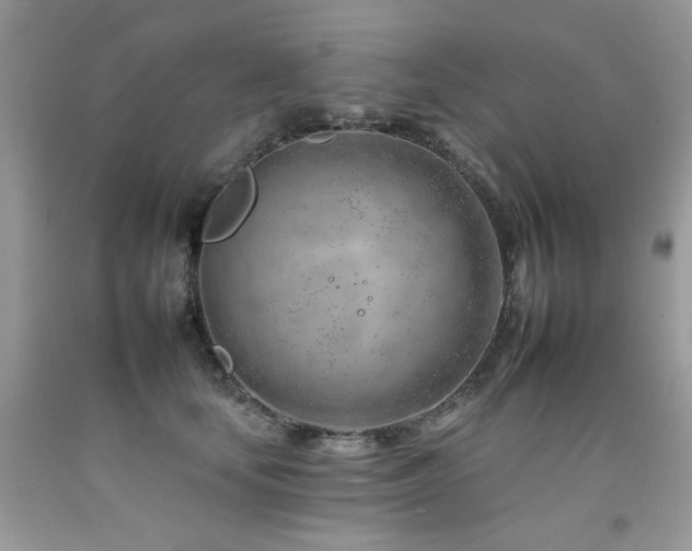 X0000092260659200709141210