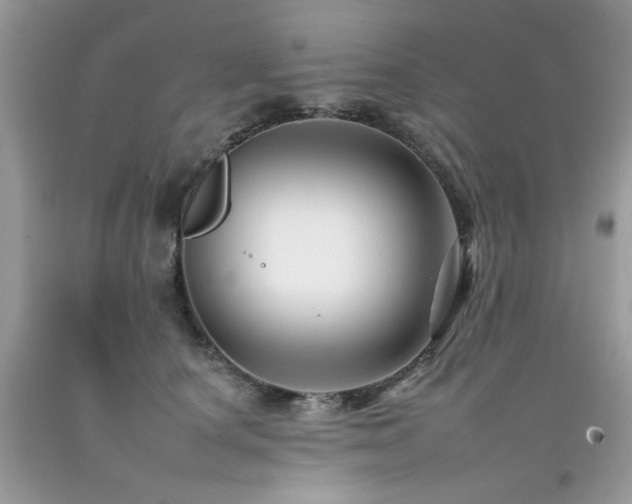 X0000092260660200709141210