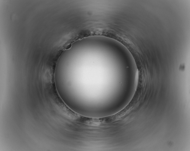 X0000092260661200709141210