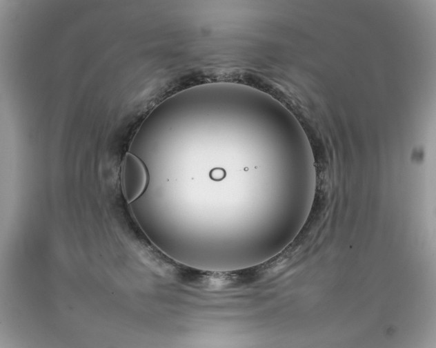 X0000092260662200709141210