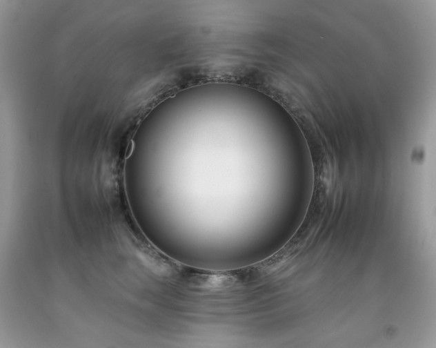 X0000092260663200709141210