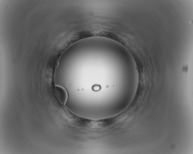 X0000092260664200709141210