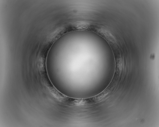 X0000092260667200709141210