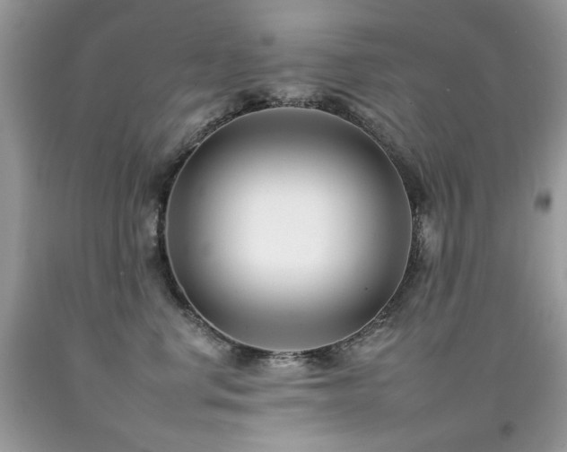 X0000092260668200709141210