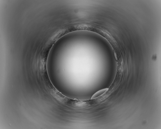 X0000092260669200709141210