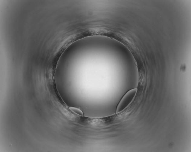 X0000092260670200709141210
