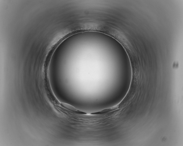 X0000092260674200709141210
