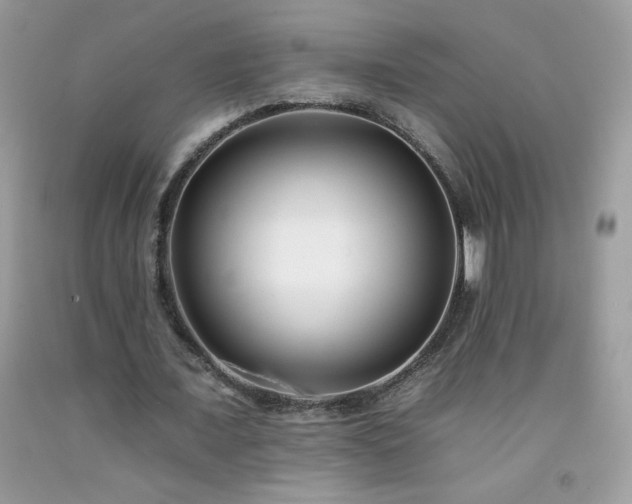 X0000092260675200709141210