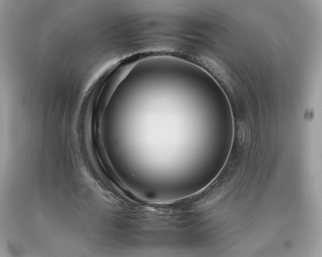 X0000092260676200709141210