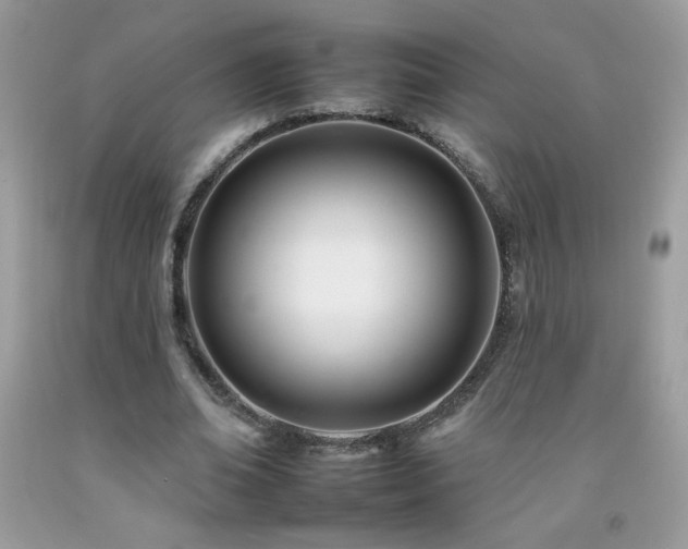 X0000092260678200709141210