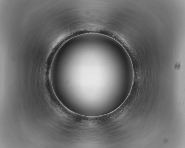 X0000092260679200709141210