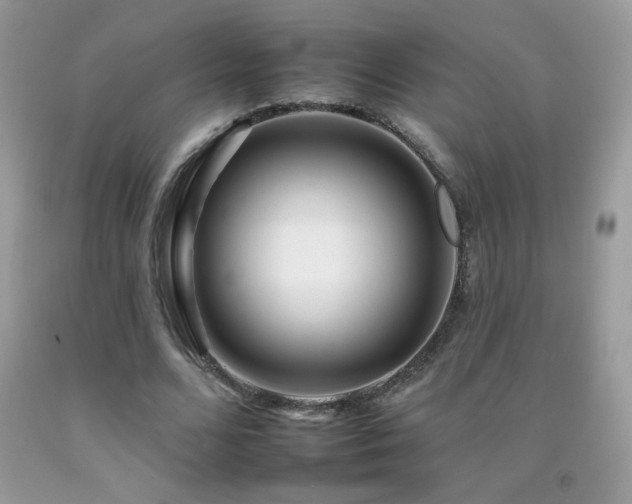 X0000092260680200709141210