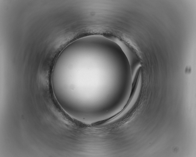 X0000092260681200709141210