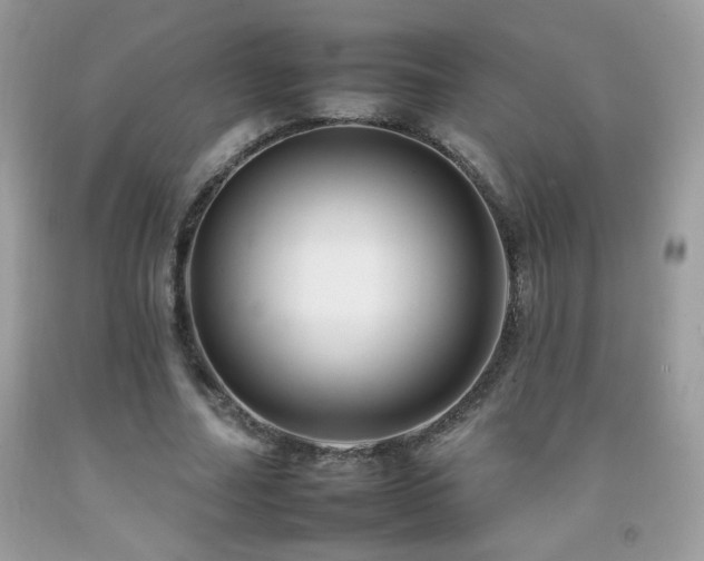 X0000092260682200709141209