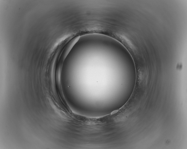 X0000092260684200709141209