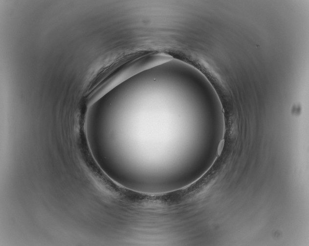 X0000092260685200709141209