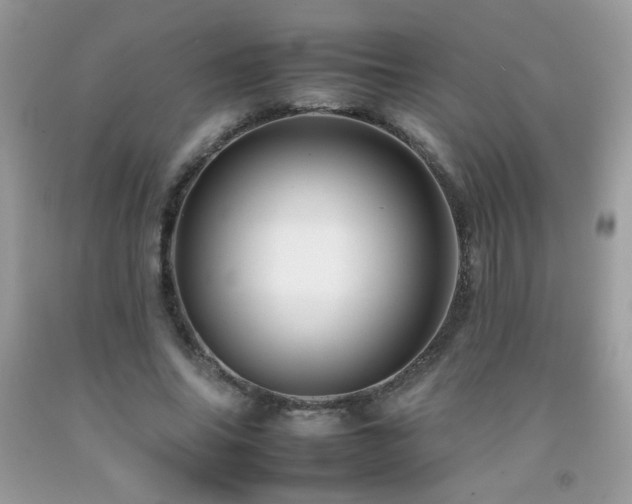 X0000092260686200709141209