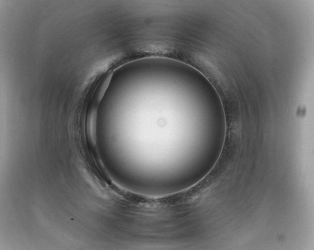 X0000092260688200709141209