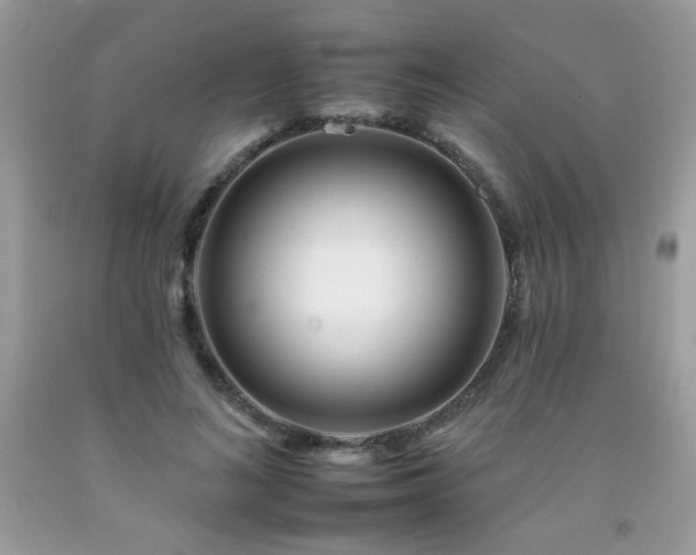 X0000092260692200709141209