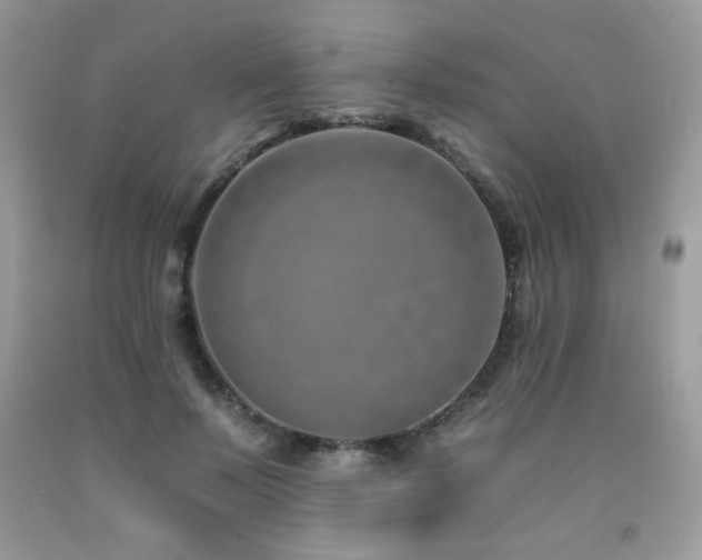 X0000092260695200709141209