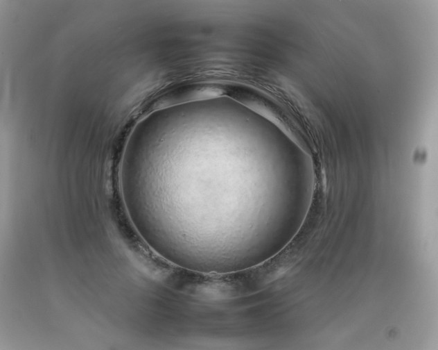 X0000092260696200709141209