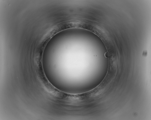 X0000092260698200709141209