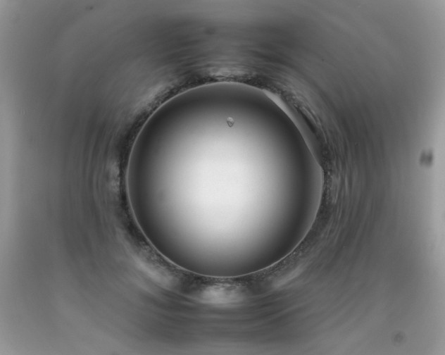 X0000092260700200709141209