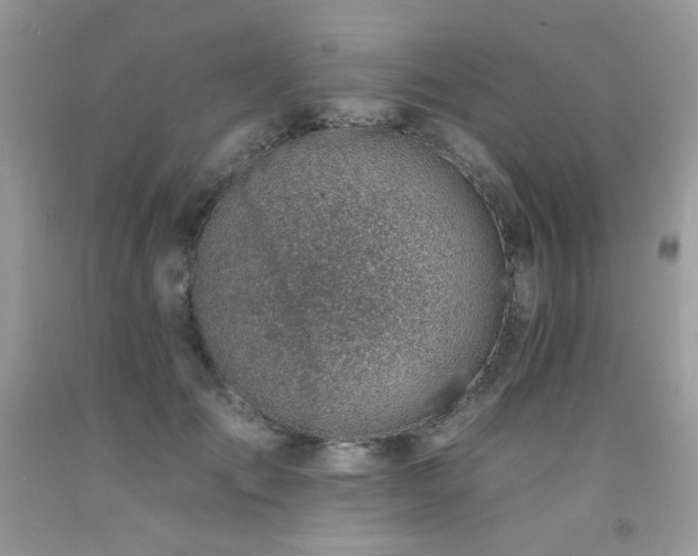 X0000092260701200709141209