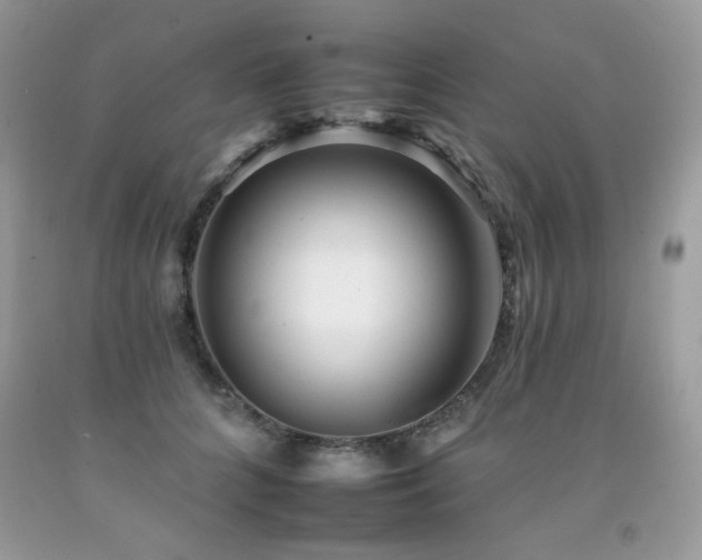 X0000092260704200709141209